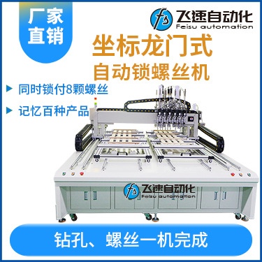 飛速FSZ系列-伺服電機(jī)坐標(biāo)式自動(dòng)鎖螺絲機(jī)，龍門坐標(biāo)式